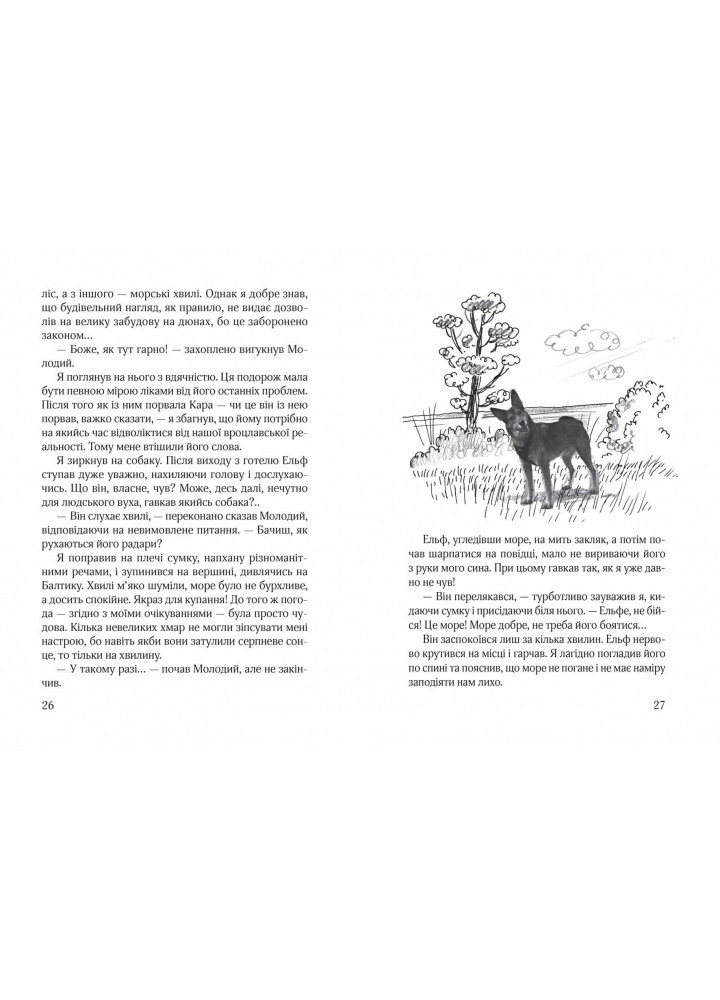 Кудлаті історії Ельф Всемогутній. - Марцін Палаш- Школа (106453)