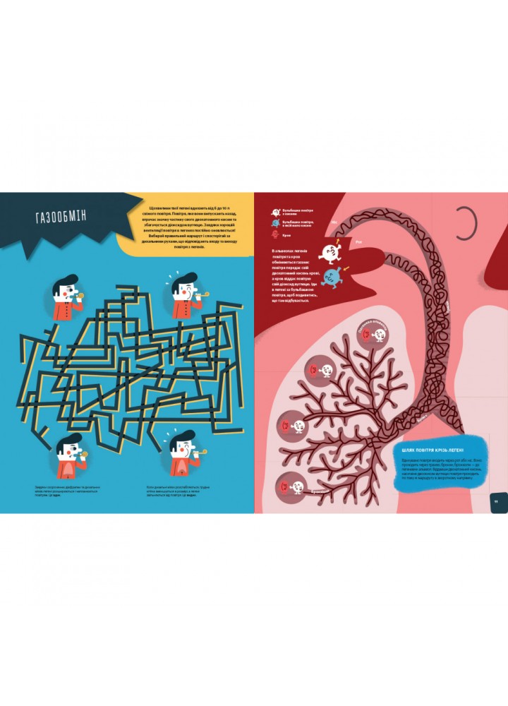 Пізнавальна книжка-гра Тіло людини. Гастон К. 9786177395989