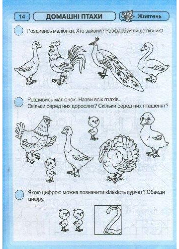 Промінчики знань. Робочий зошит 5+ - РАНОК