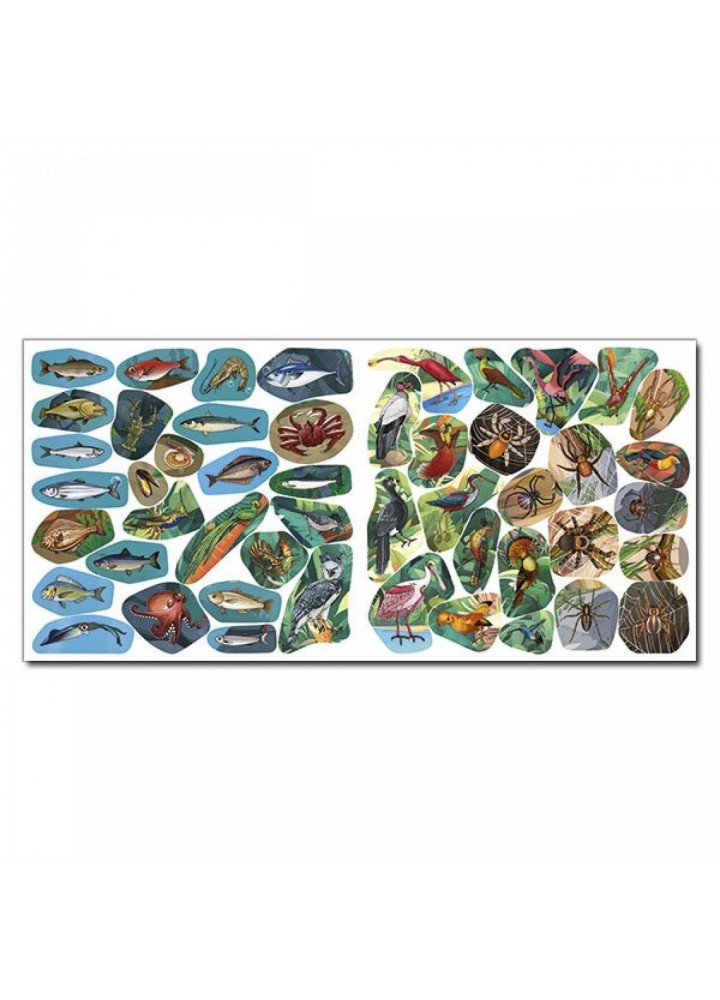 Хто де живе. Домашні улюбленці. Блакитна / ГЛОРІЯ