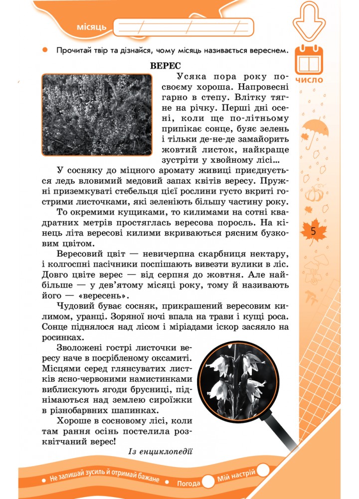 ЗИМОВІ ВПРАВИ на кожен день канікул, 4 кл., + Осінь, Весна - РАНОК