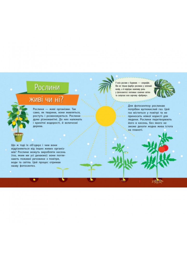 Рослини. Чомусики. Булгакова Г.К. 9786170937834