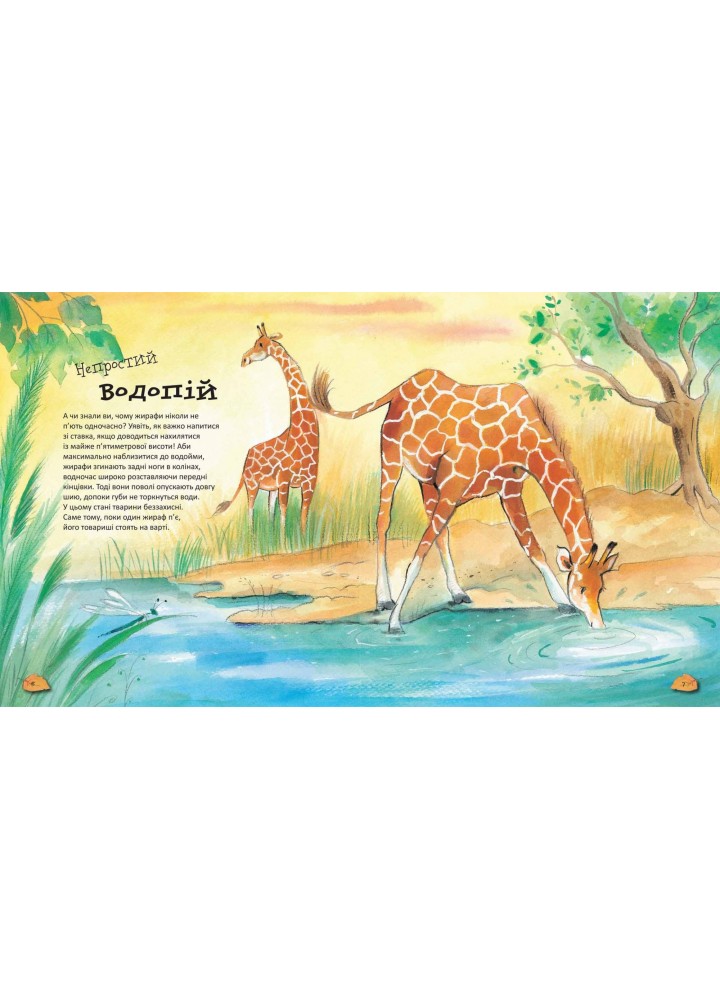 Дивовижі тваринного світу. - Алехандро Альґара- Школа (106433)