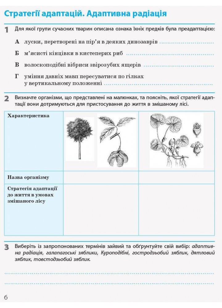 Біологія і Екологія, 11 кл., Робочий зошит. Рівень стандарту - РАНОК (119780)
