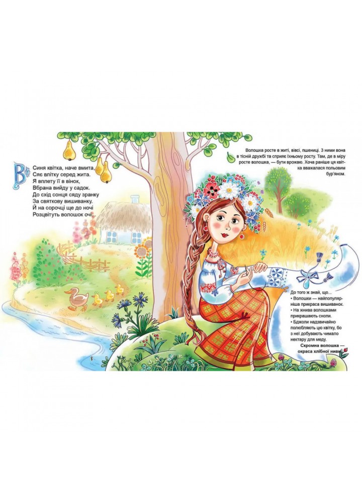 Українська абетка. Яковенко Л. 9789669890740 Українська абетка. Яковенко Л. 9789669890740