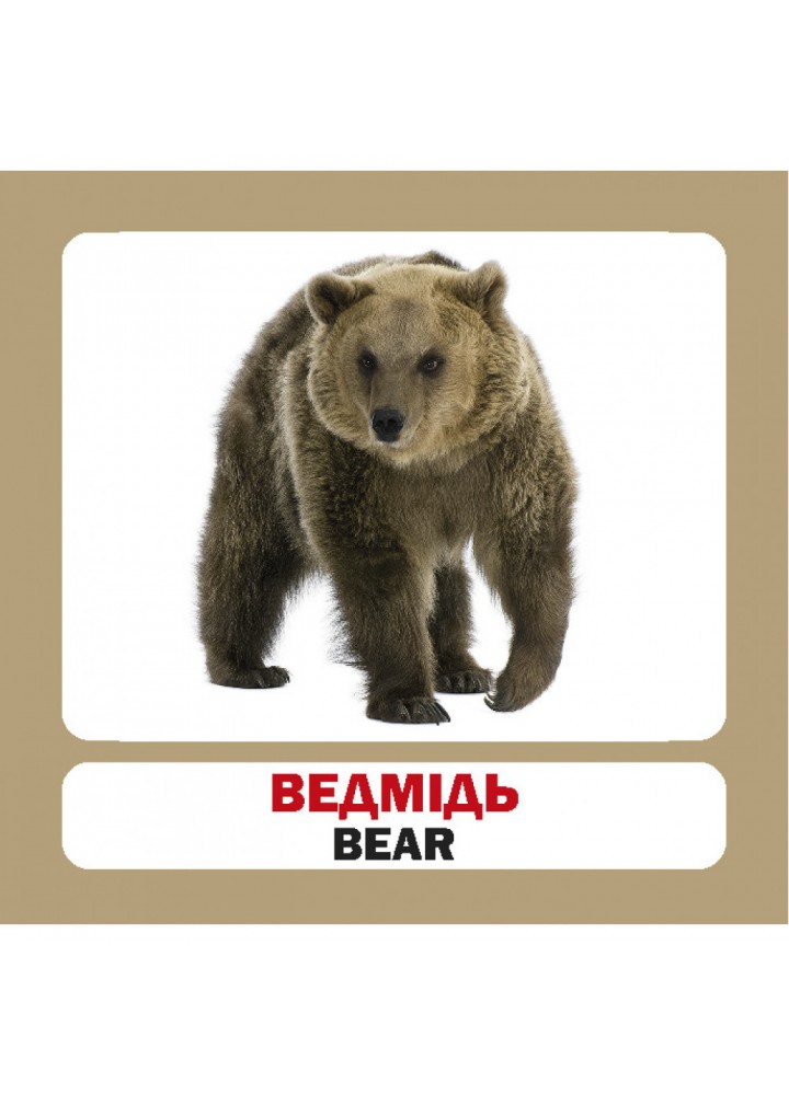 Лісові тварини. Forest Animals. 17 карток. 9786177360277
