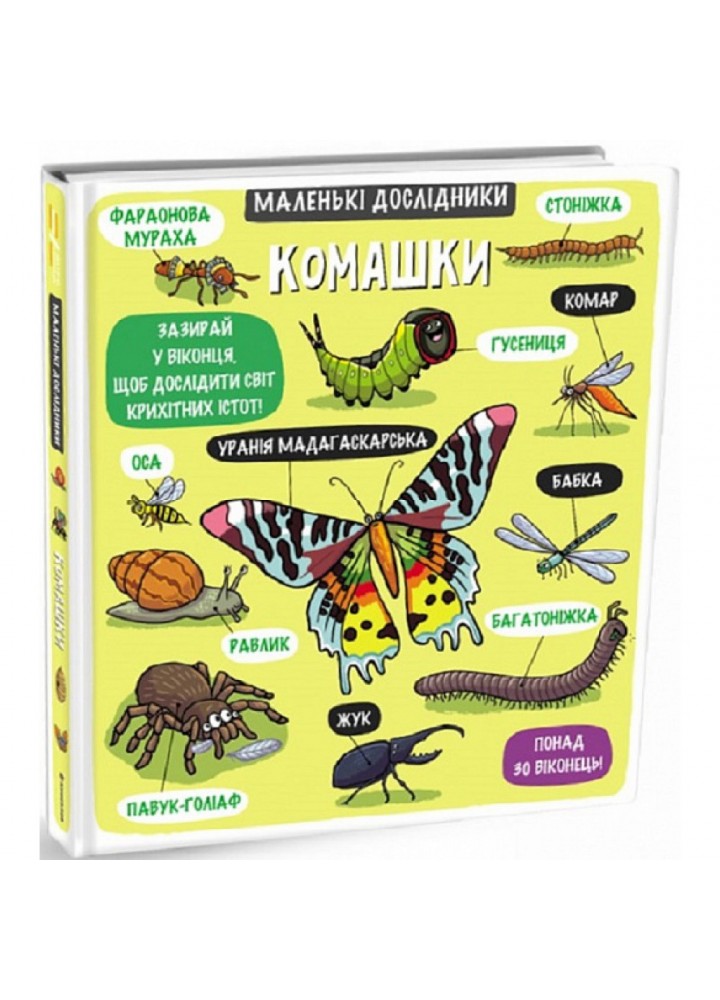 Маленькі дослідники: Комашки. Сандерс А. 9786177563845