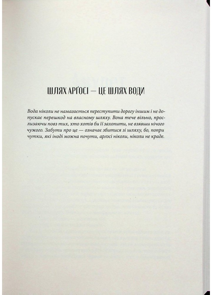 Чорна тінь - Себастьян де Кастелл - Nebo BookLab