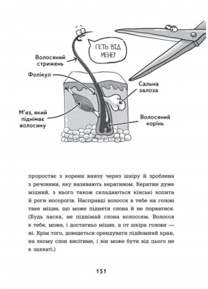 Анатомія для дітей - ЧАС МАЙСТРІВ - РОСП