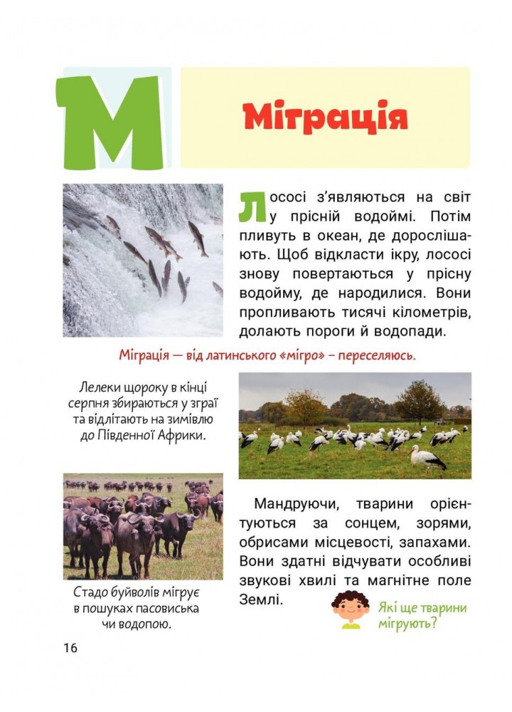 Класна абетка. Тварини - Буглак Ю.Г. - ЛІТЕРА