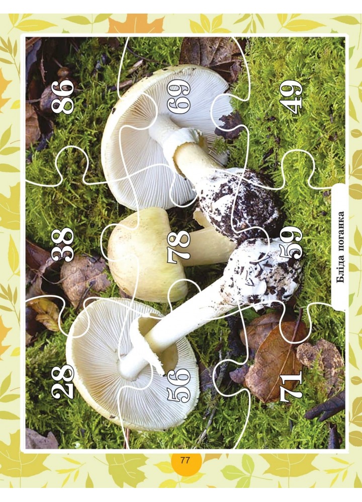 Щоденні 3 (три) з Математики, 2 кл., Ч.2 - Вербовенко Н. А. - Генеза (103243)