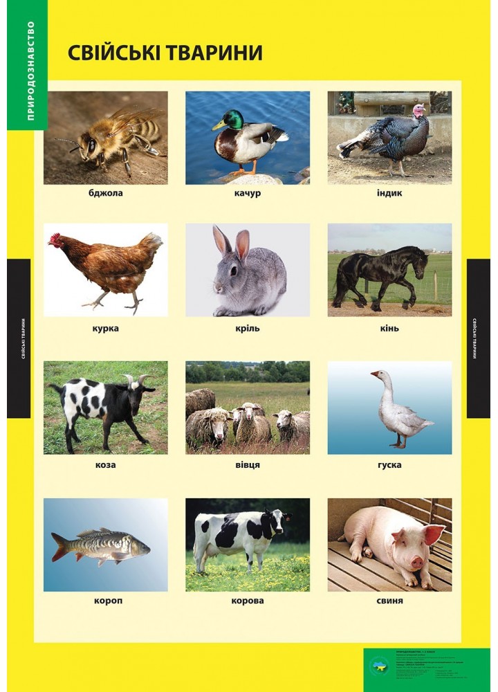 ПЛАКАТ Свійські тварини