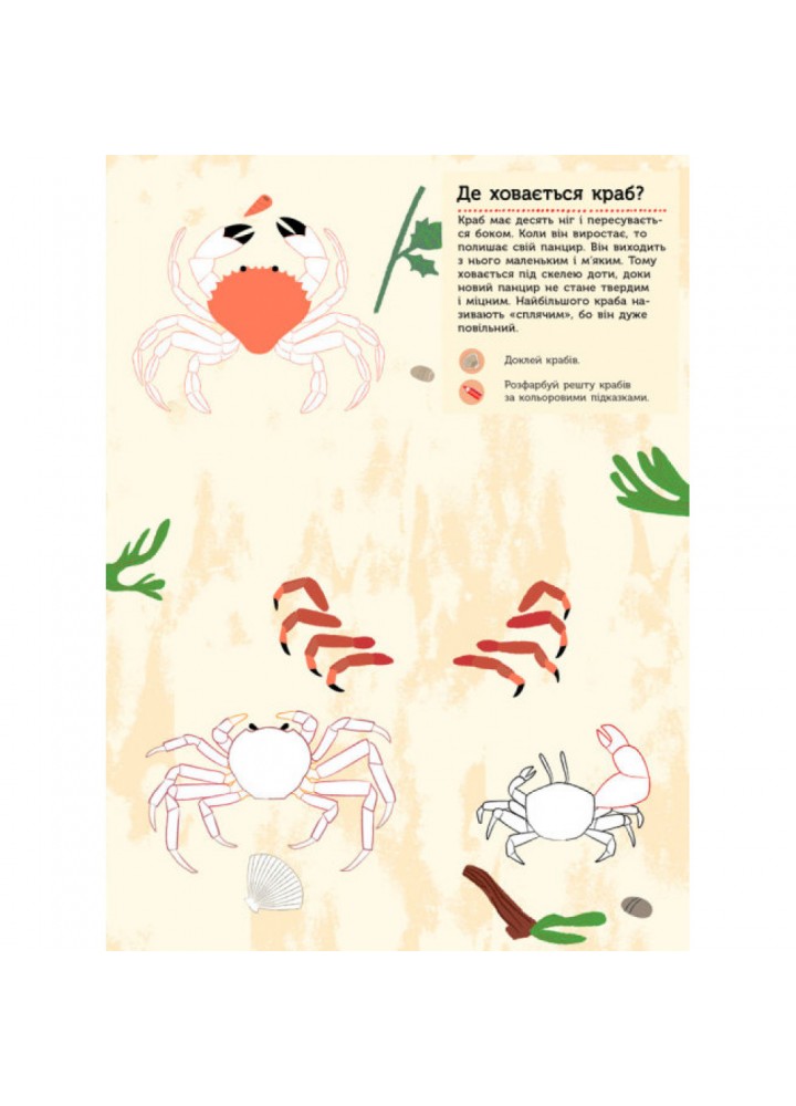 На березі моря. Моя книга природи. Косно О. 9786170941022 На березі моря. Моя книга природи. Косно О. 9786170941022