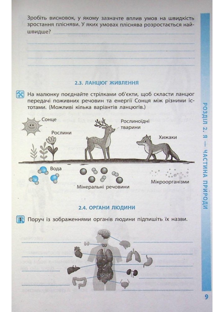 Довкілля, 5 кл. НУШ, Робочий зошит (до підруч. Григорович) - Григорович О.В. - РАНОК (117389)