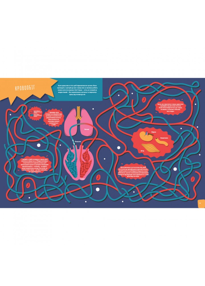 Пізнавальна книжка-гра Тіло людини. Гастон К. 9786177395989