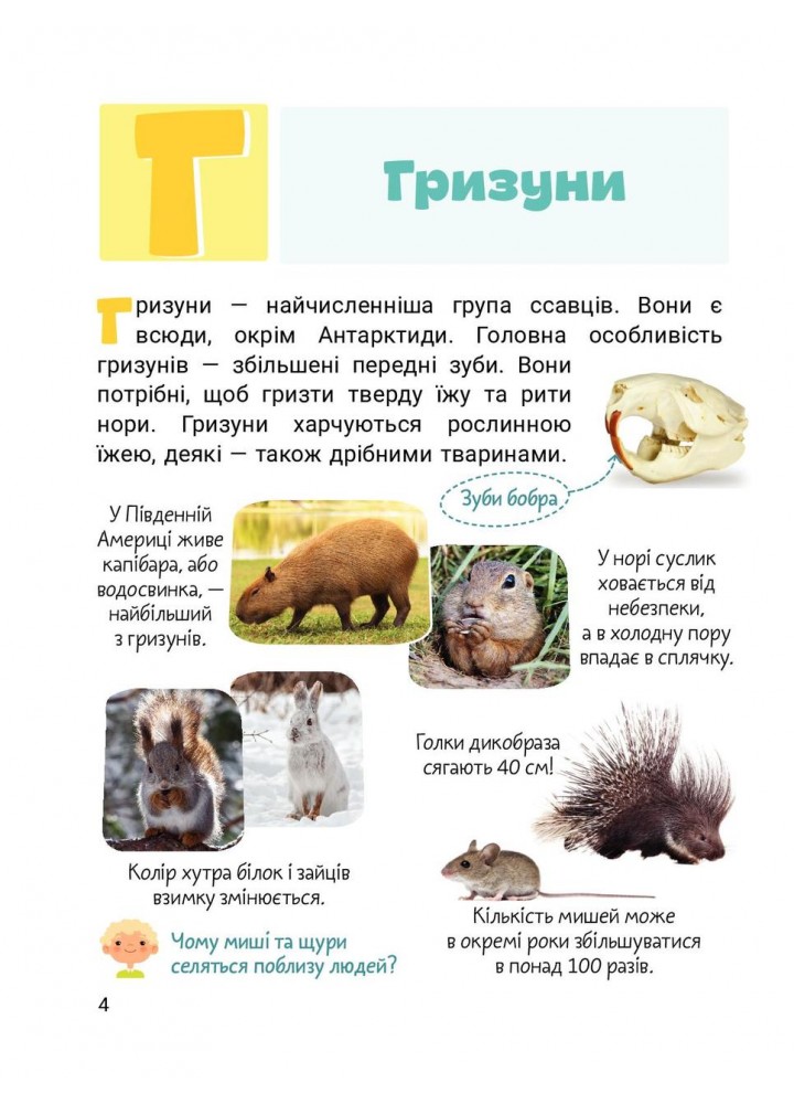 Класна абетка. Тварини - Буглак Ю.Г. - ЛІТЕРА