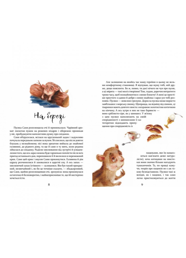 Пригоди пусяки Сані. Фредріксон А. 9786178253325