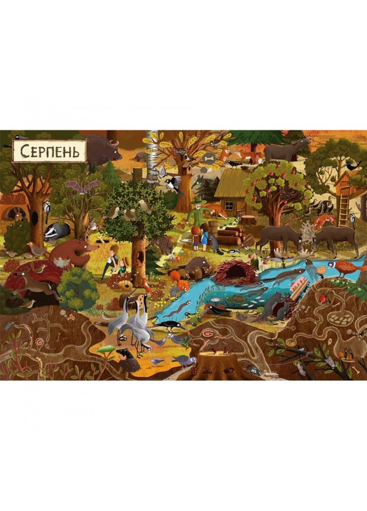 Рік у лісі. Дзюбак Е. 978-617-679-278-9