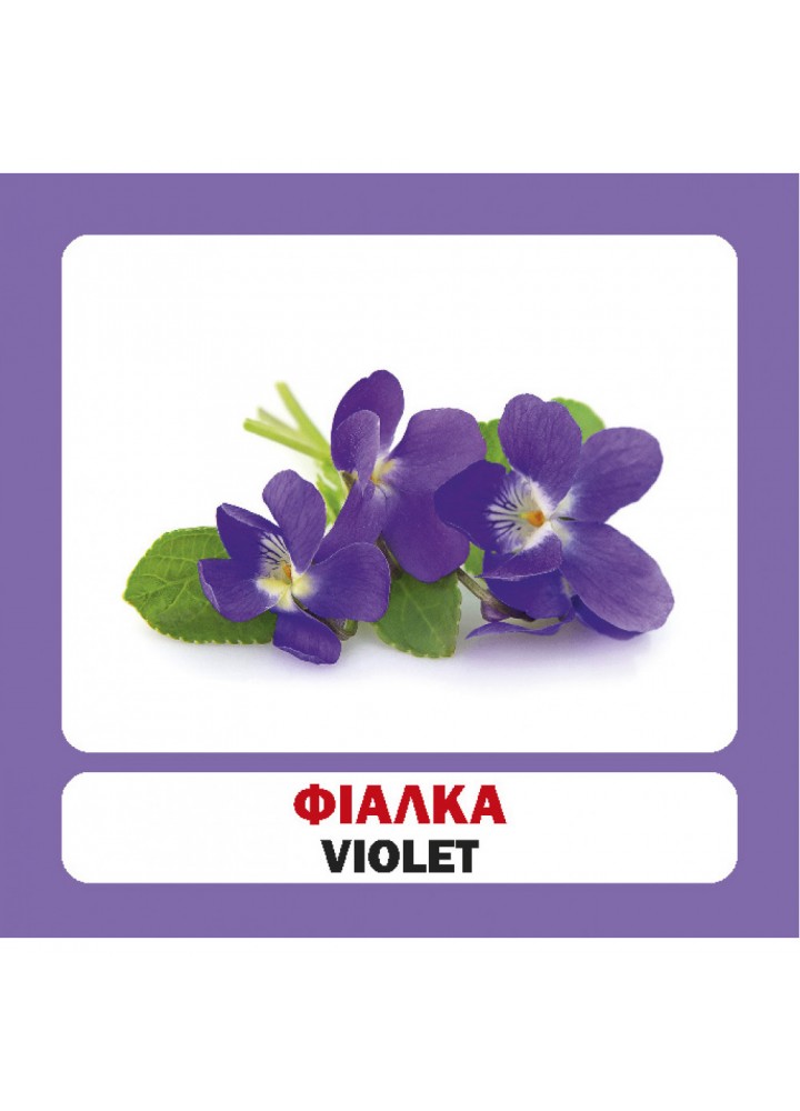 Квіти. Flowers. 17 карток. 9789669751836