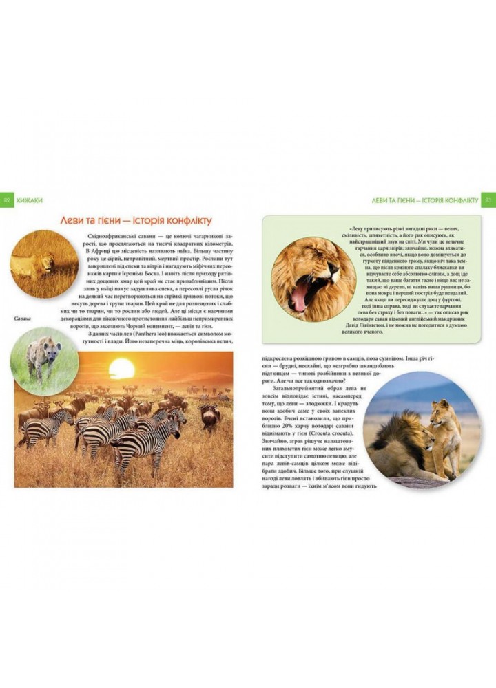 Хижаки. Гапченко А.В. 9789669355874