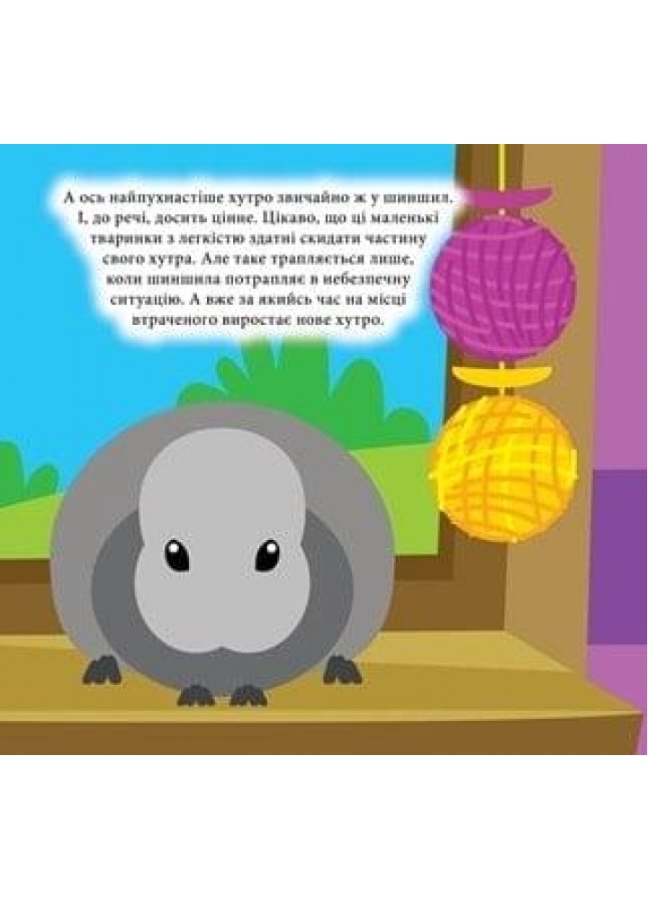 Наліпки - конструктори Домашні улюбленці - ТОРСІНГ (122143) Наліпки - конструктори Домашні улюбленці - ТОРСІНГ (122143)