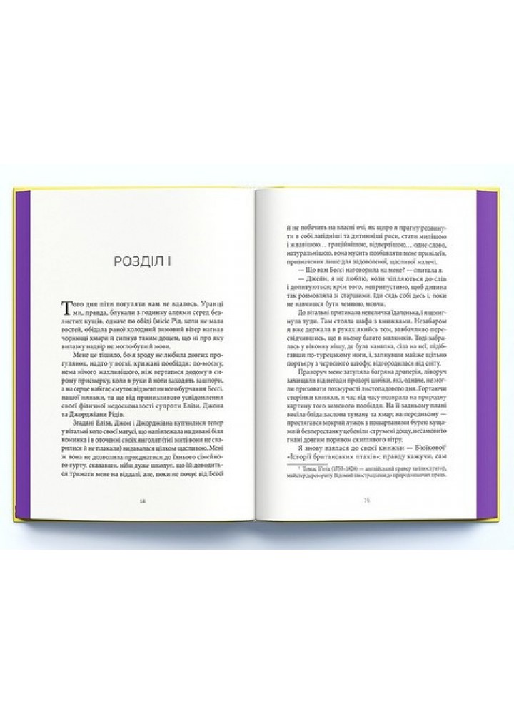 Джейн Ейр - Шарлотта Бронте - Nebo BookLab (9786177914234)