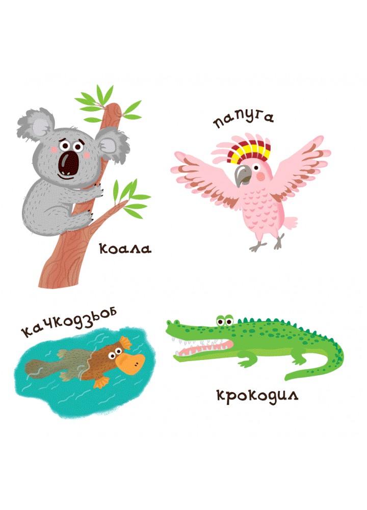 Зоопарк. Сторінки-цікавинки / ШКОЛА