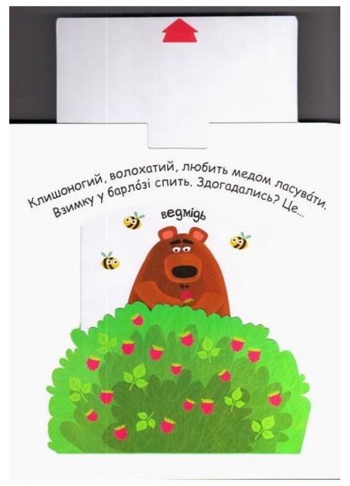 Сторінки-цікавинки. Тварини в лісі - ШКОЛА
