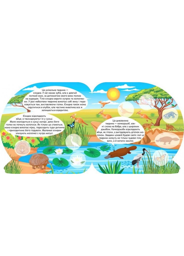 Пізнавальні наліпки Тварини Австралії - Алліна О. Г. - ТОРСІНГ (106975) Пізнавальні наліпки Тварини Австралії - Алліна О. Г. - ТОРСІНГ (106975)