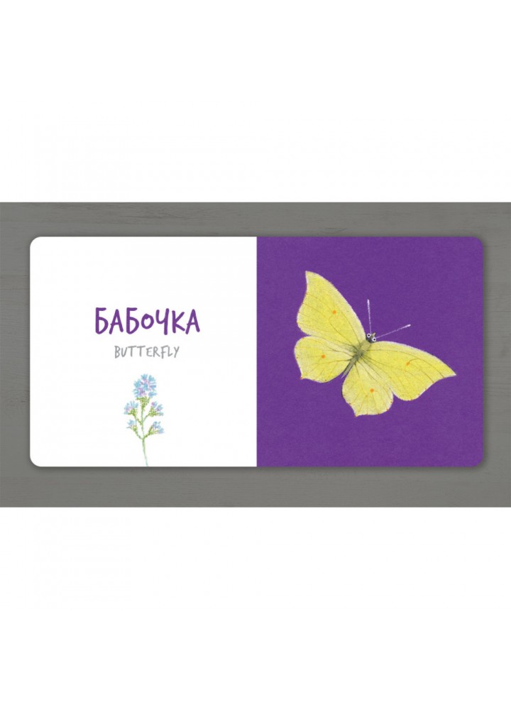 Збери веселку. Комахи. Таберко К. 9786177395163