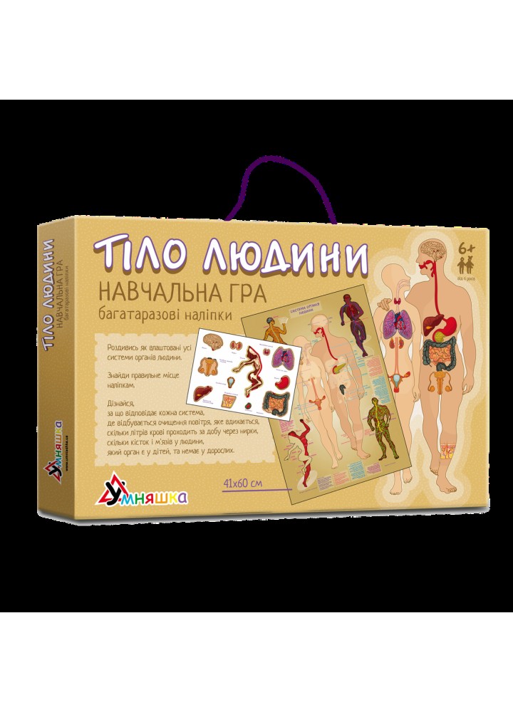 Гра навчальна з багаторазовими наліпками "Тіло людини" (КП-004у) / УМНЯШКА
