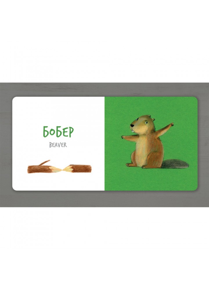 Збери веселку. Лісові тварини. Таберко К. 9786177395293
