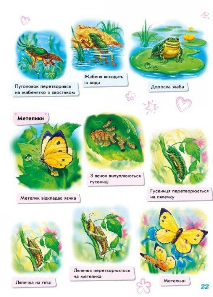 Малюкові про все на світі - РАНОК