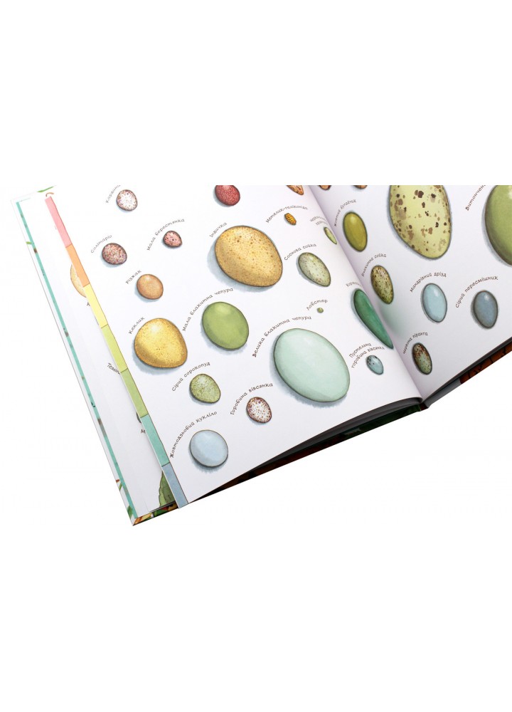 Яйце безмовне - Астон Гуттс Діанна - БОГДАН Яйце безмовне - Астон Гуттс Діанна - БОГДАН